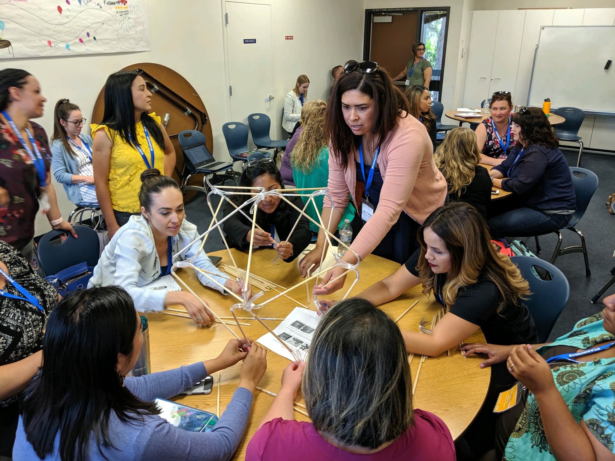 Educators participating in the CAEMI professional learning and coaching model.