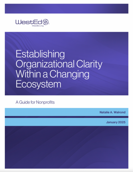 Establishing Organizational Clarity resource image